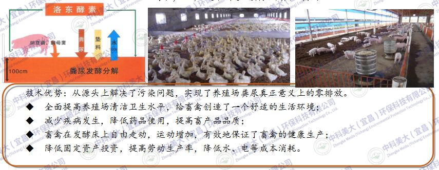 &#20048;&#40060;&#32593;&#39029;&#29256;&#45;&#20048;&#40060;&#40;&#20013;&#22269;&#41;